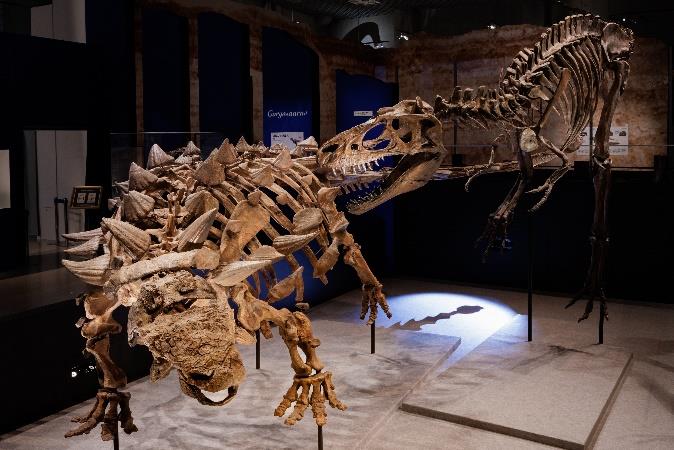 『恐竜博2023』ズールとゴルゴサウルス