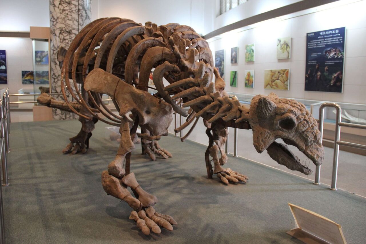 アンキロサウルス | 恐竜図鑑