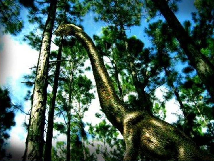 大きな竜脚類【ブラキオサウルス】 | 恐竜図鑑