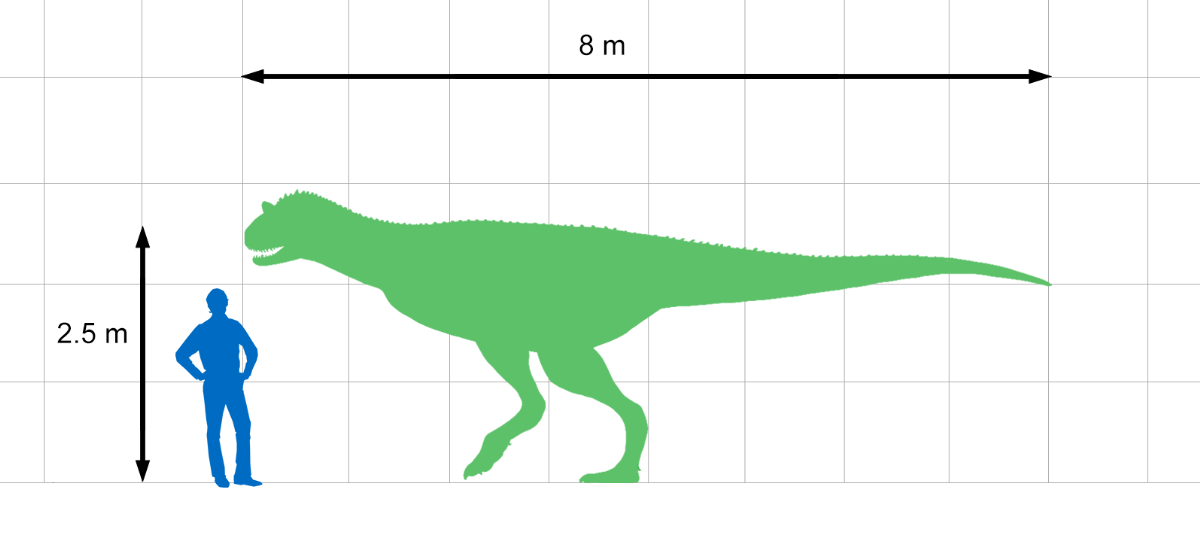カルノタウルス | 恐竜図鑑