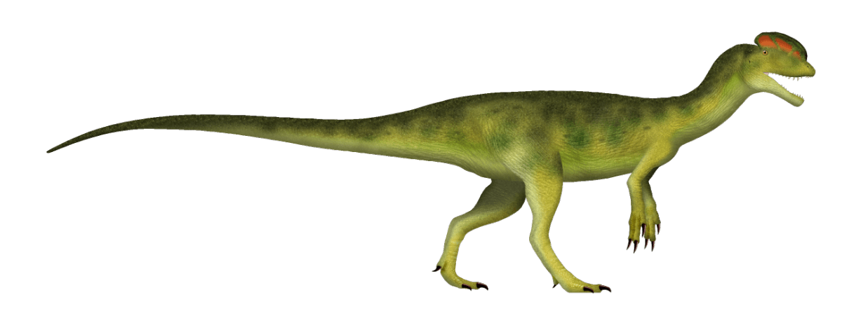 ディロフォサウルス| 恐竜図鑑