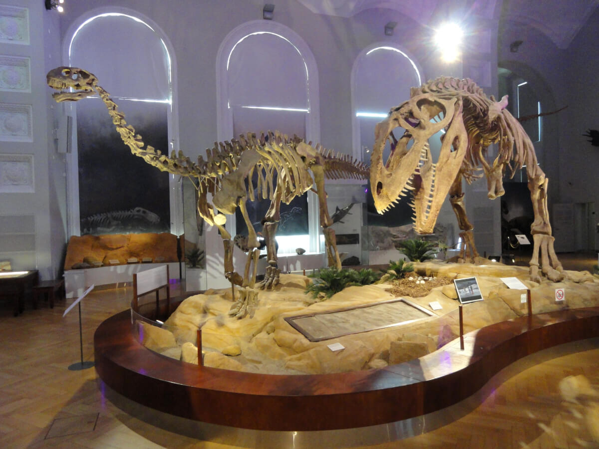 ギガノトサウルス | 恐竜図鑑