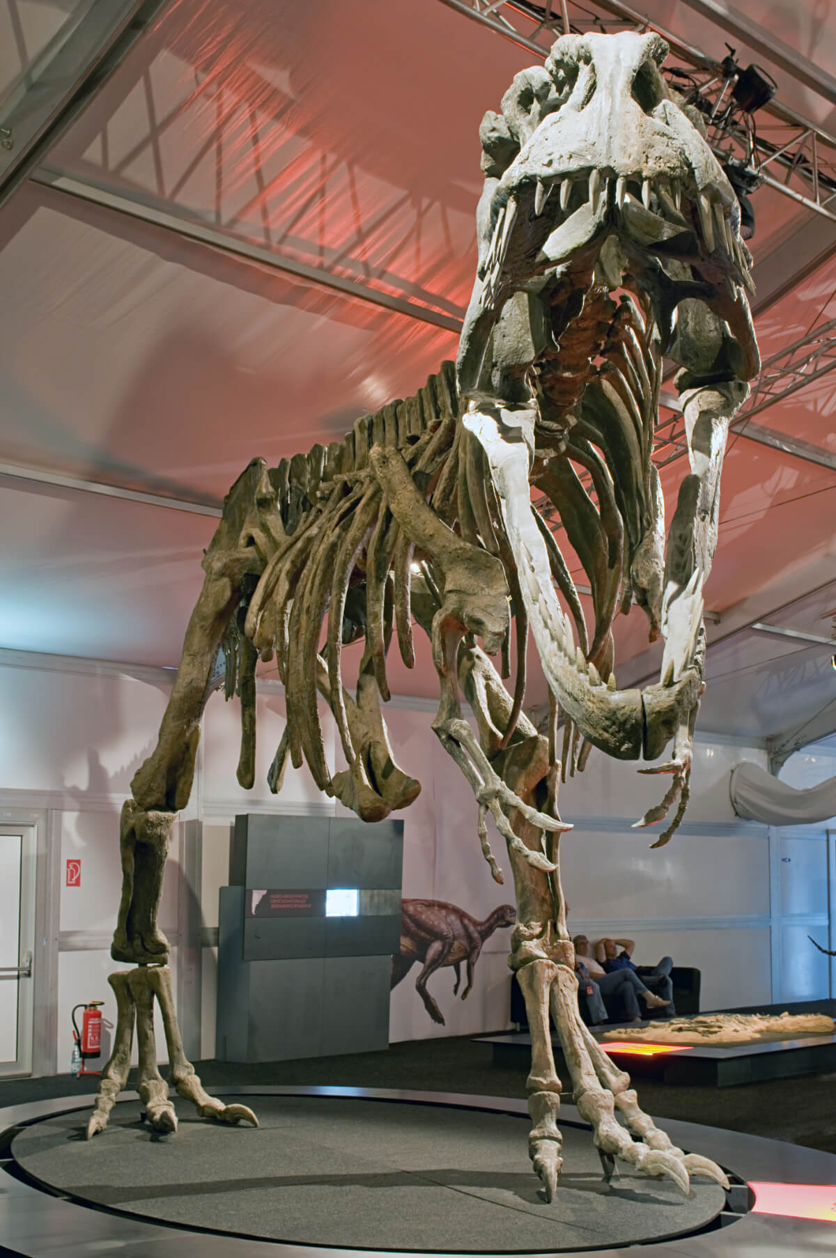 ギガノトサウルス | 恐竜図鑑