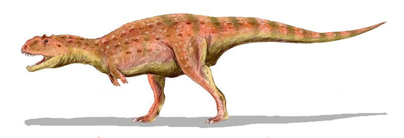 マジュンガサウルス| 恐竜図鑑