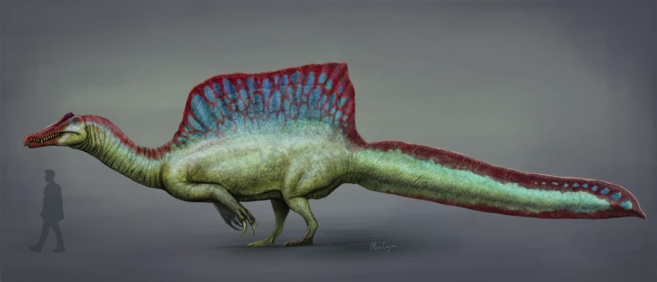 スピノサウルス | 恐竜図鑑