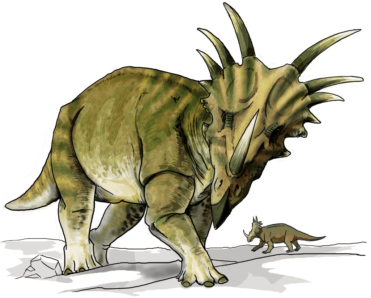 【スティラコサウルス】襟飾りに大きなトゲみたいな角6本の角竜| 恐竜図鑑