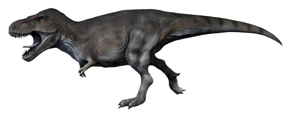 【ティラノサウルス】 恐竜図鑑