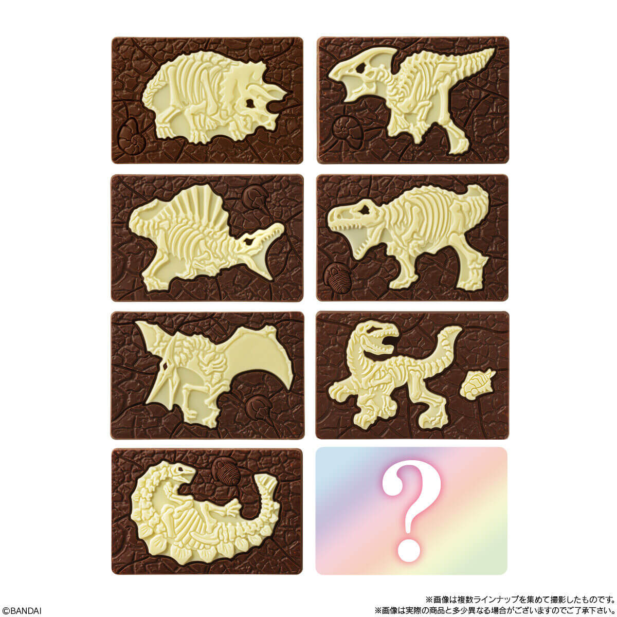 【キャラパキ発掘恐竜チョコ】全8種類の恐竜