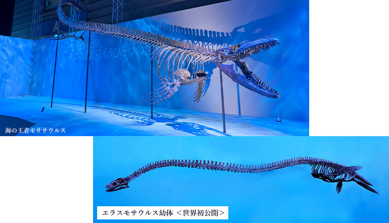 『恐竜科学博 2023』モササウルスなど展示内容
