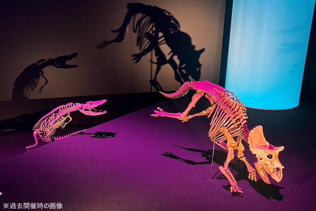 「DinoScience 恐竜科学博 ～ララミディア大陸の恐竜物語～ 2024@OSAKA」なんばスカイオ 7Fコンベンションホール