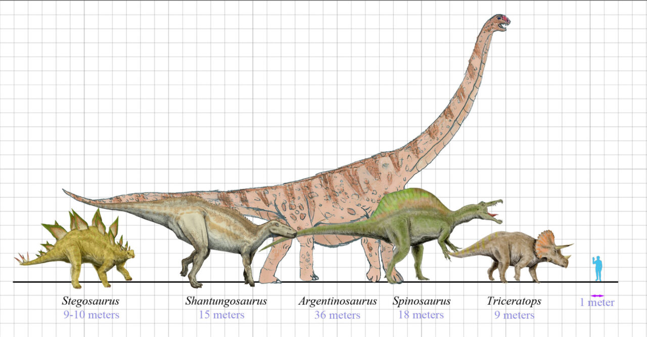 一番大きい恐竜。恐竜の大きさ比較