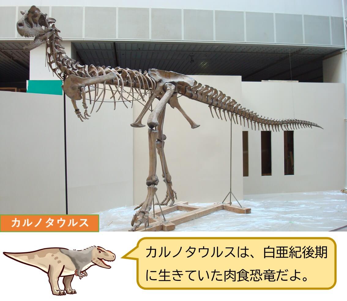 『恐竜vs哺乳類ー化石から読み解く進化の物語ー』＠茨城県自然博物館