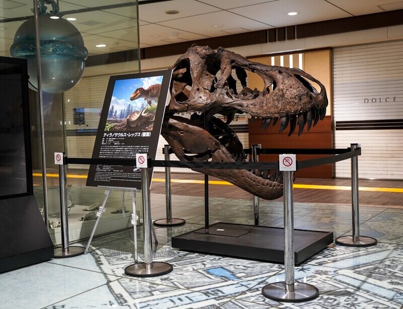 恐竜王国ふくいの恐竜展示＠東京駅