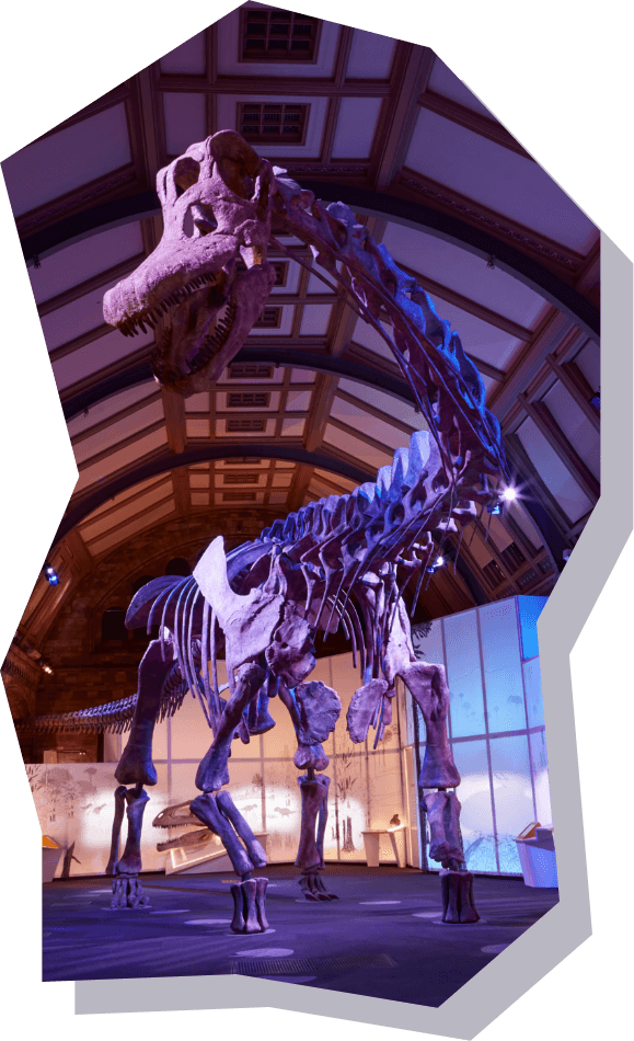 【巨大恐竜展2024】＠パシフィコ横浜 ロンドンでの展示