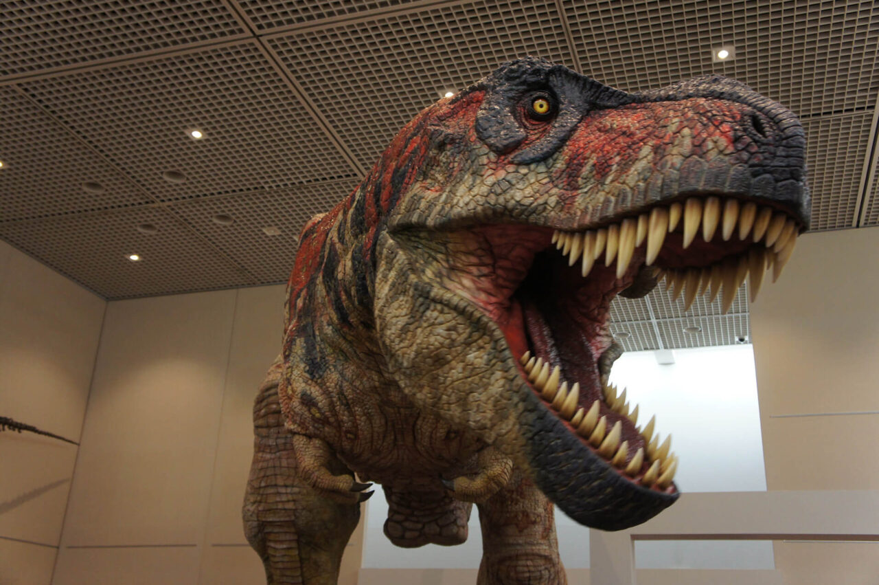 【オダイバ恐竜博覧会2024】＠お台場・フジテレビ ティラノサウルスの生体復元ロボット