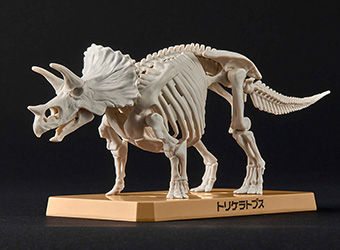 組み立てる恐竜フィギュア・プラノサウルス「トリケラトプス」骨格
