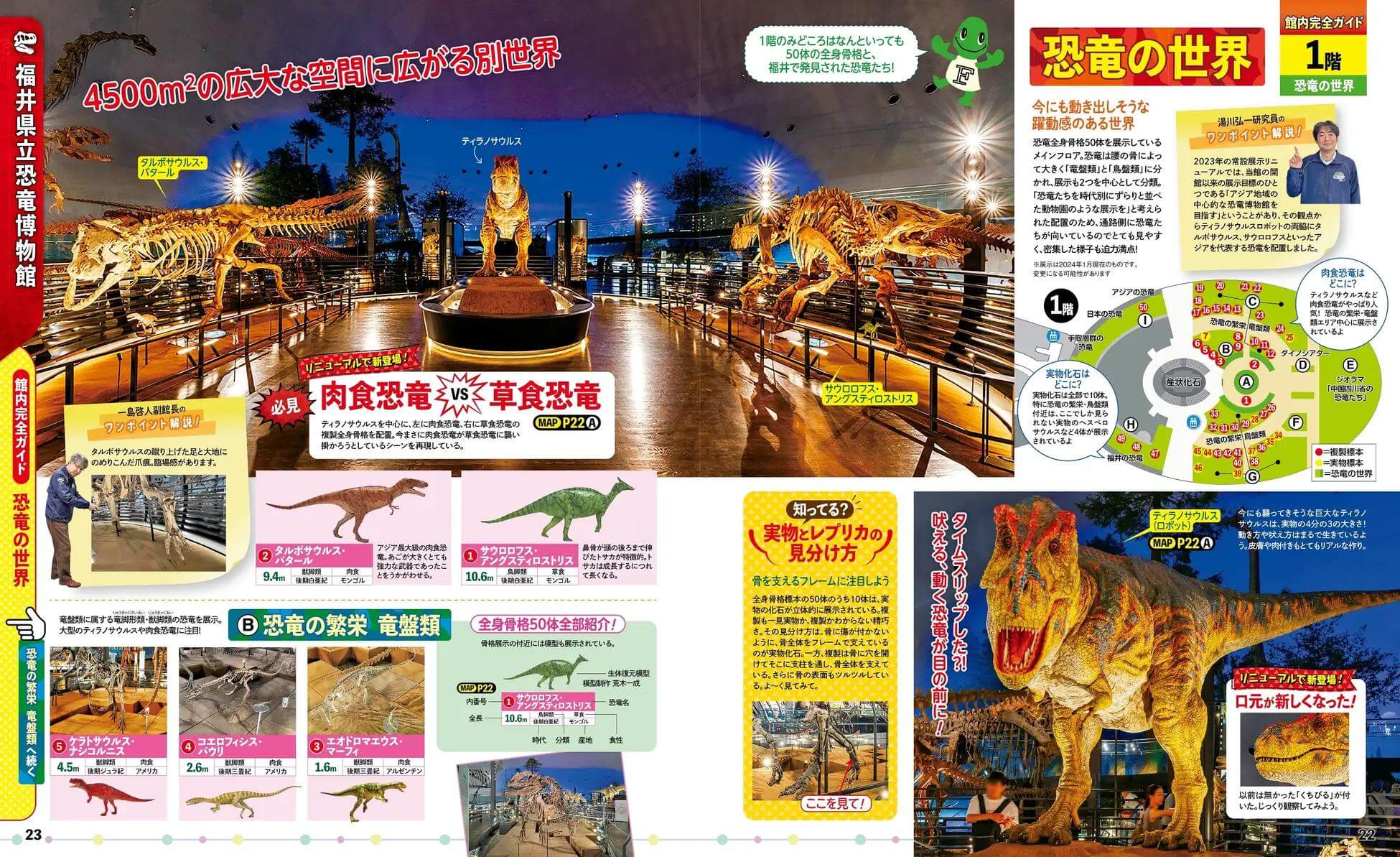 【るるぶ福井県立恐竜博物館】2023年リニューアルの福井県立恐竜博物館 完全ガイドブック！ | KidZAURUS (キッザウルス)
