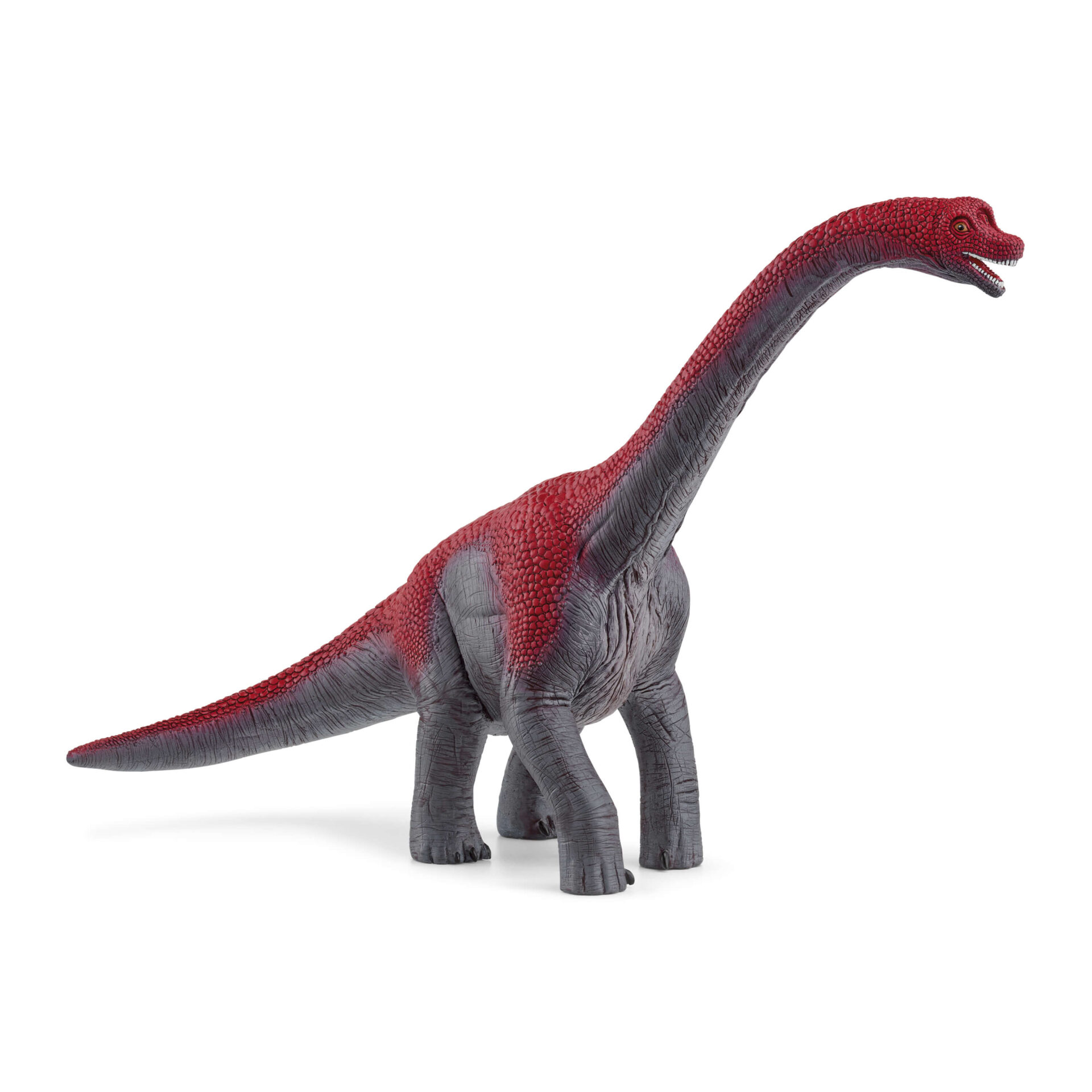 シュライヒ恐竜フィギュア ブラキオサウルス（レッド）