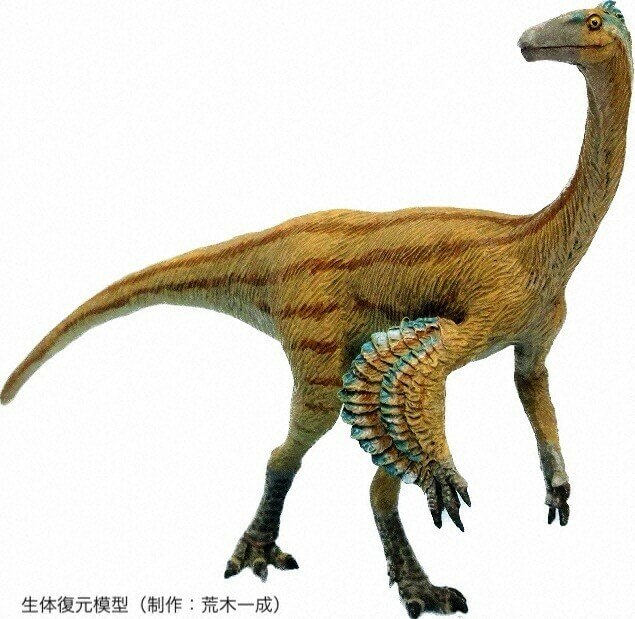 新種の羽毛恐竜「ティラノミムス・フクイエンシス」